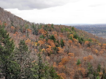 picture taken during a hike