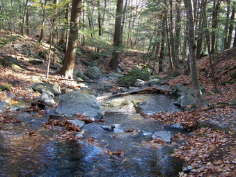 picture taken during a hike