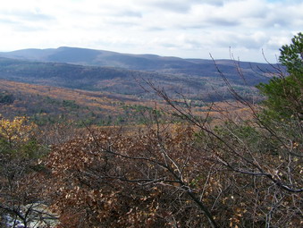 picture taken during a hike