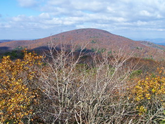 picture taken during a hike