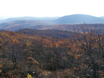 picture taken during a hike