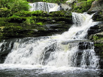 picture taken during a hike