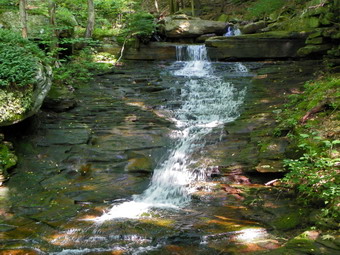 picture taken during a hike