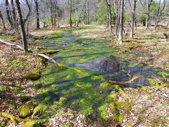 picture taken during a hike