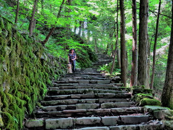 picture taken during a hike