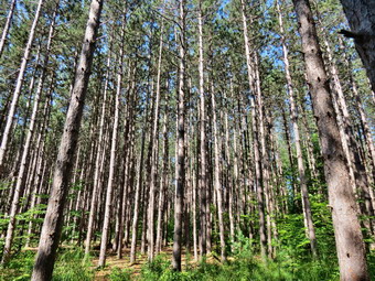 picture taken during a hike