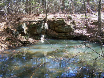 picture taken during a hike