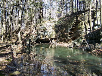 picture taken during a hike