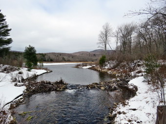 picture taken during a hike