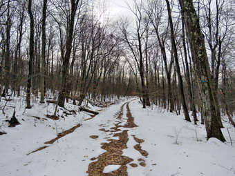 picture taken during a hike