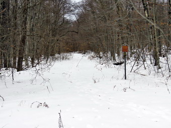 picture taken during a hike