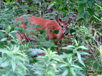 picture taken during a hike