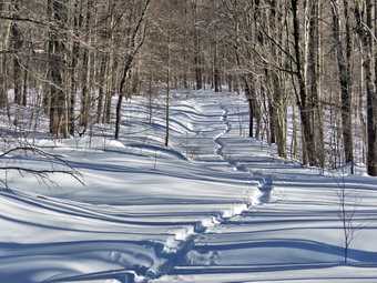 picture taken during a hike