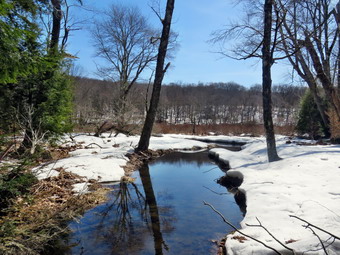 picture taken during a hike