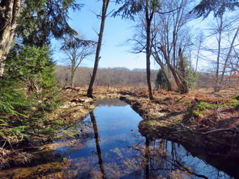 picture taken during a hike