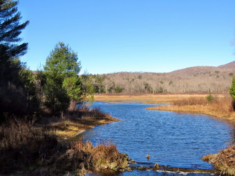 picture taken during a hike