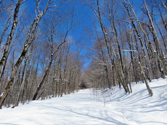 picture taken during a hike