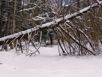 picture taken during a hike