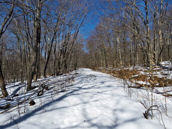 picture taken during a hike