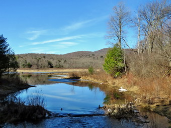 picture taken during a hike