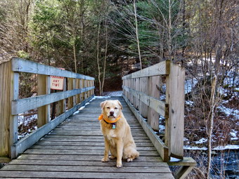 picture taken during a hike