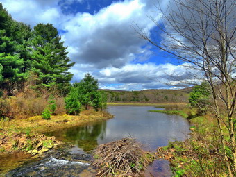 picture taken during a hike