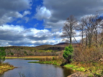 picture taken during a hike