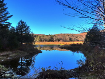 picture taken during a hike