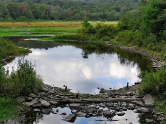 picture taken during a hike