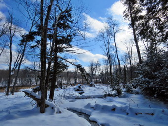 picture taken during a hike