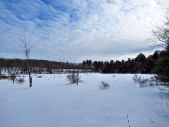 picture taken during a hike