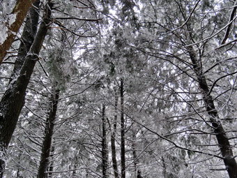 picture taken during a hike