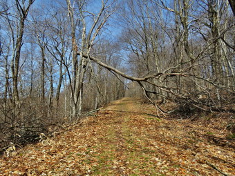 picture taken during a hike