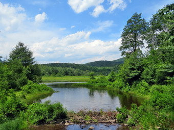 picture taken during a hike