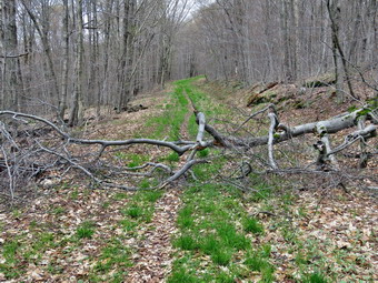 picture taken during a hike