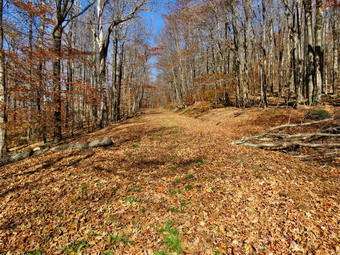 picture taken during a hike