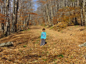 picture taken during a hike