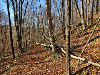 picture taken during a hike