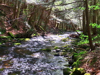 picture taken during a hike