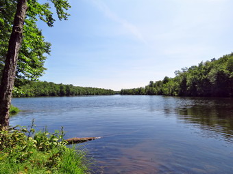 picture taken during a hike