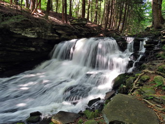 picture taken during a hike