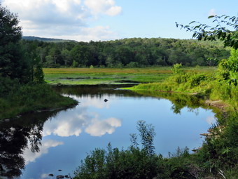 picture taken during a hike