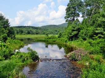 picture taken during a hike