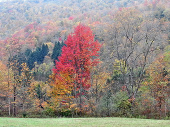 picture taken during a hike