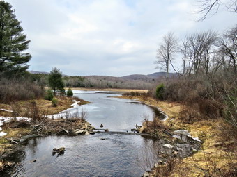 picture taken during a hike