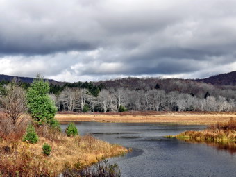 picture taken during a hike