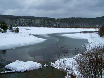 picture taken during a hike