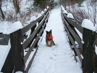 picture taken during a hike