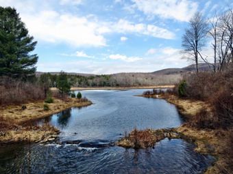 picture taken during a hike