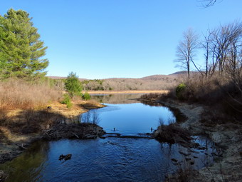 picture taken during a hike